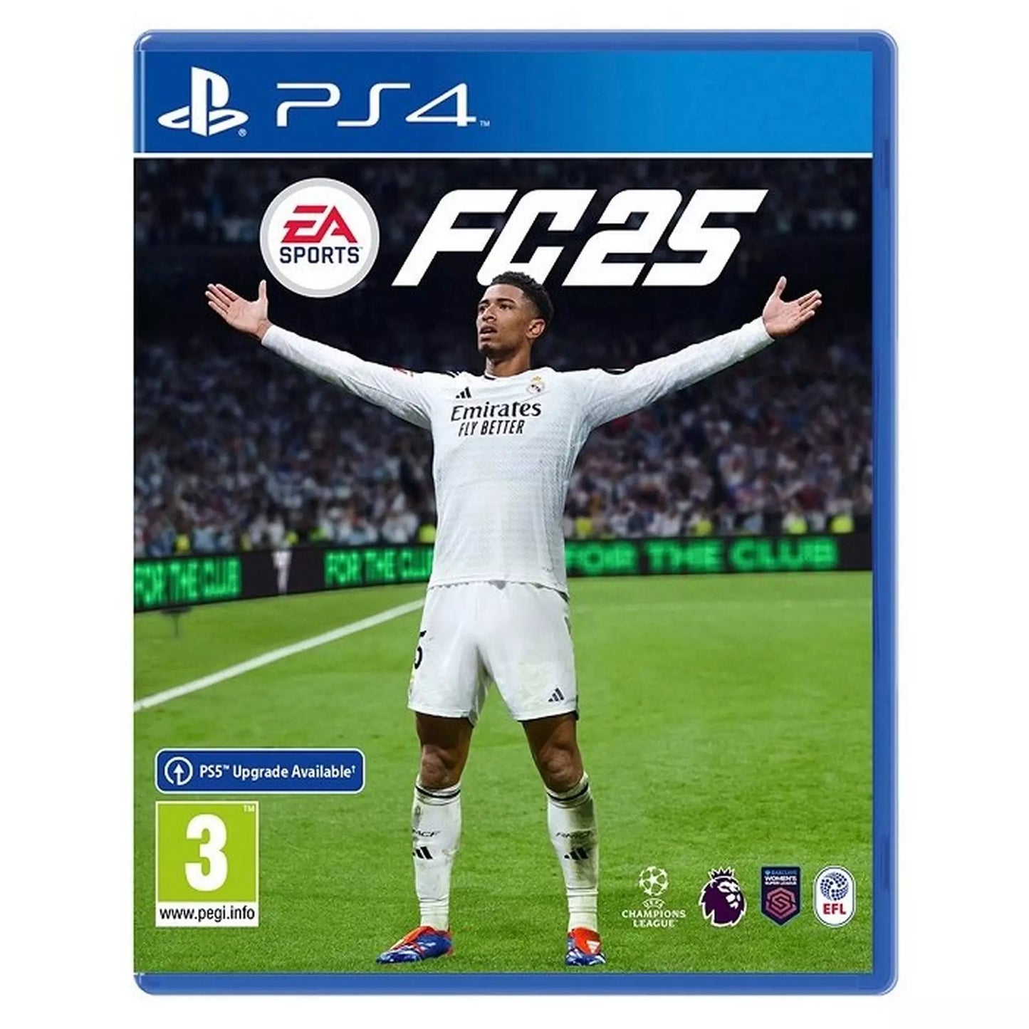 Sony PS4 EA Sports FC25 Game