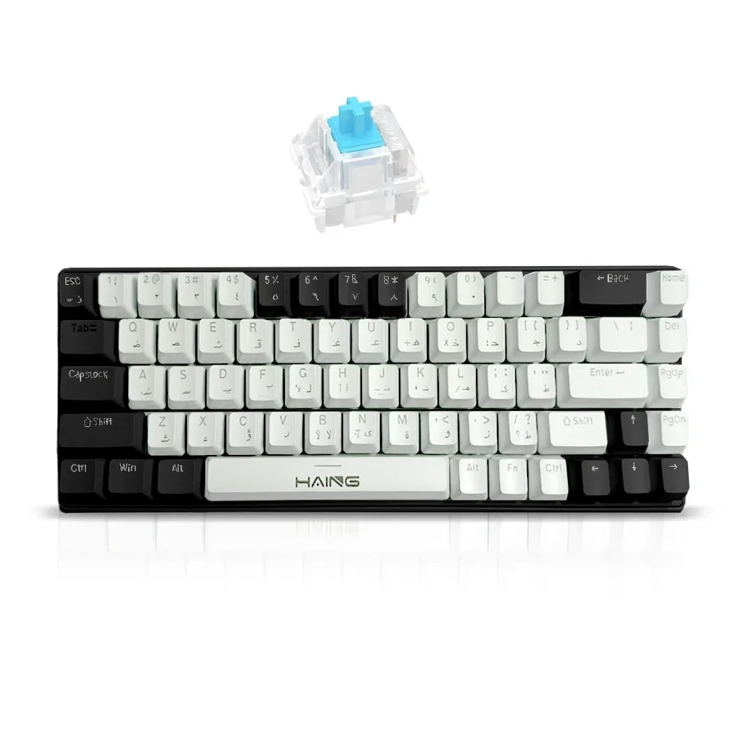 Haing RGB Mechanical Keyboard - Black & White Dual Color Design with Blue Key