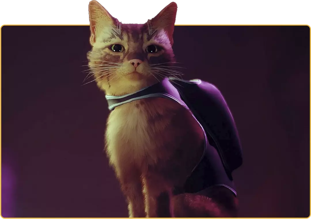 Stray - PlayStation 5 Game