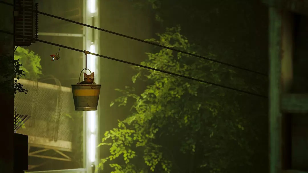 Stray - PlayStation 5 Game